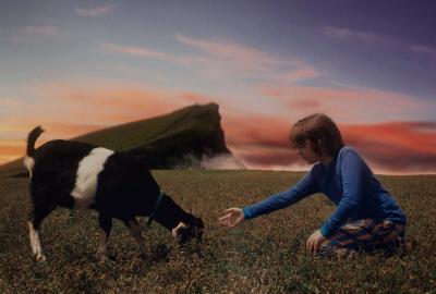 Nash puts his hand out towards a goat