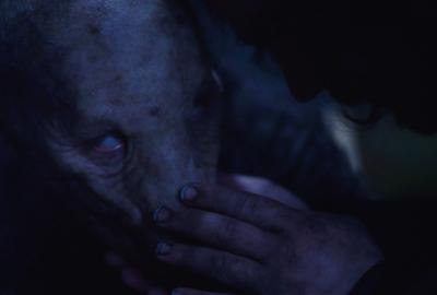 A man pets a creature