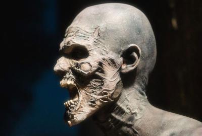 Human creature's profile